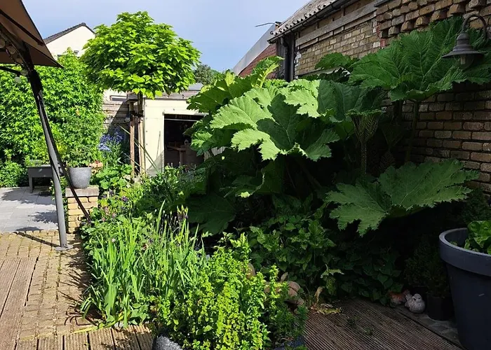 Landbaene